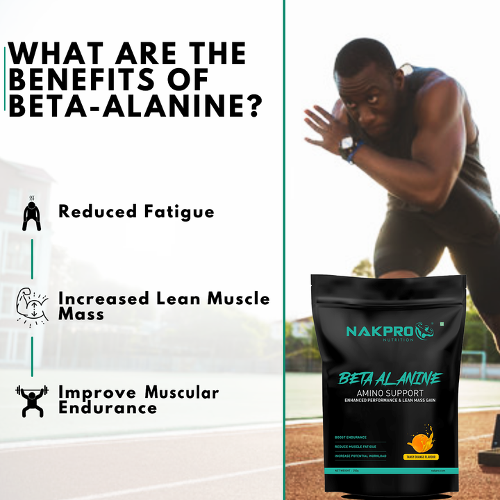 Beta Alanine | Amino Acid Supplement