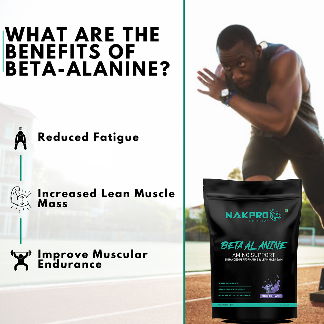 Beta Alanine | Amino Acid Supplement