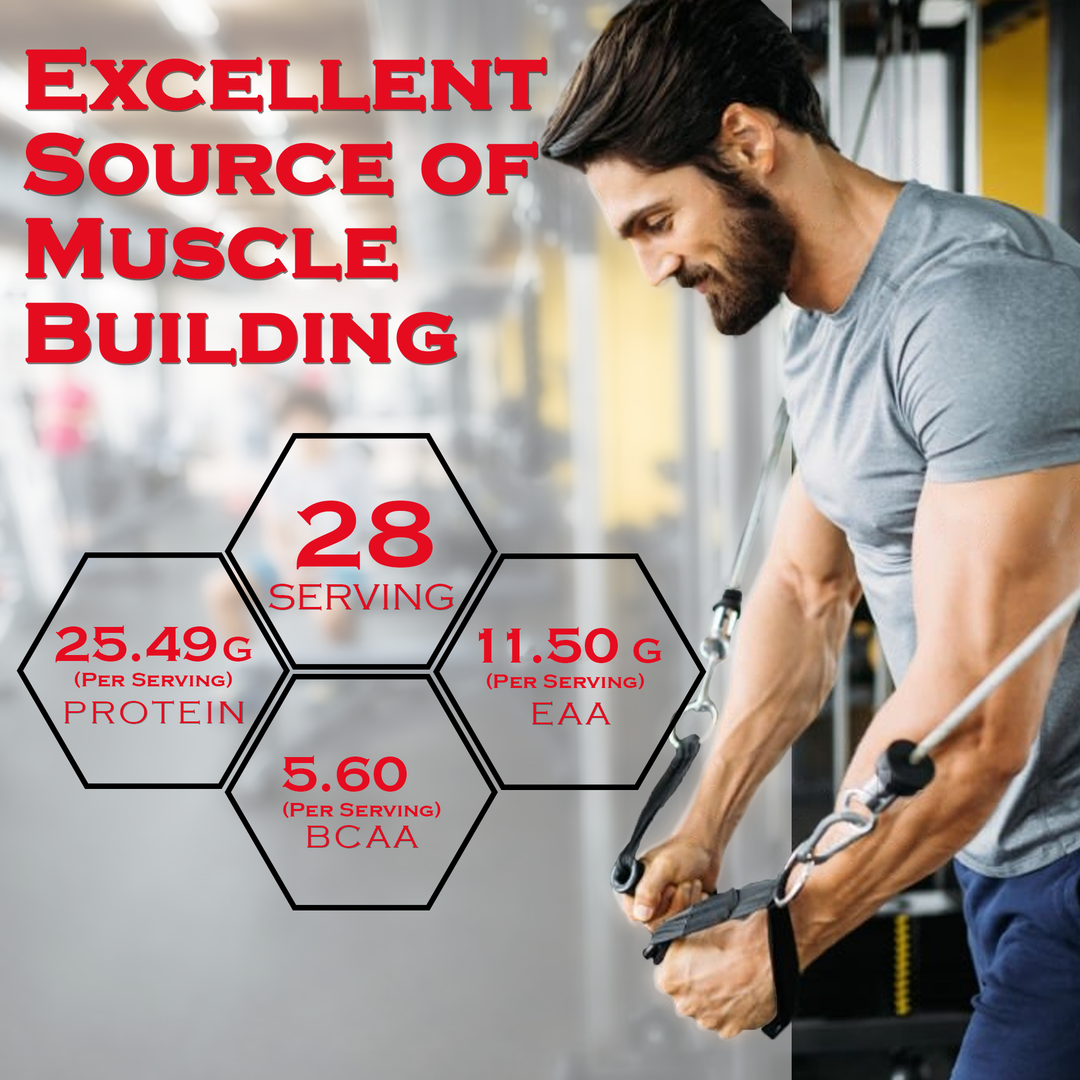 Build muscle with whey protein