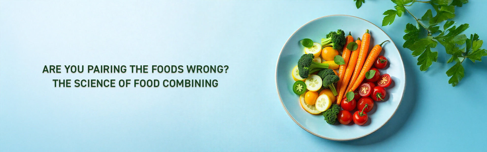 Are You Pairing the Foods Wrong? The Science of Food Combining
