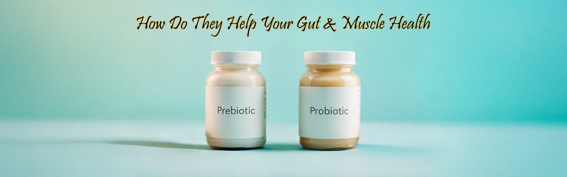 Prebiotics And Probiotics: How Do They Help Your Gut & Muscle Health