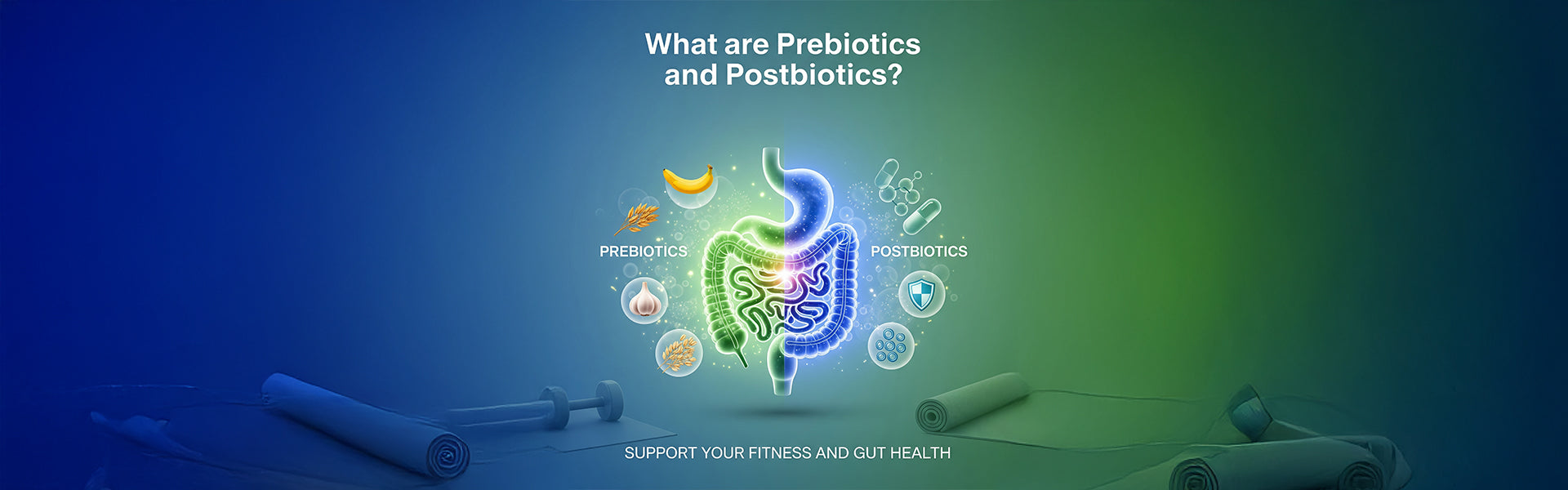 What are Prebiotics and Postbiotics? How Do They Support Your Fitness and Gut Health?