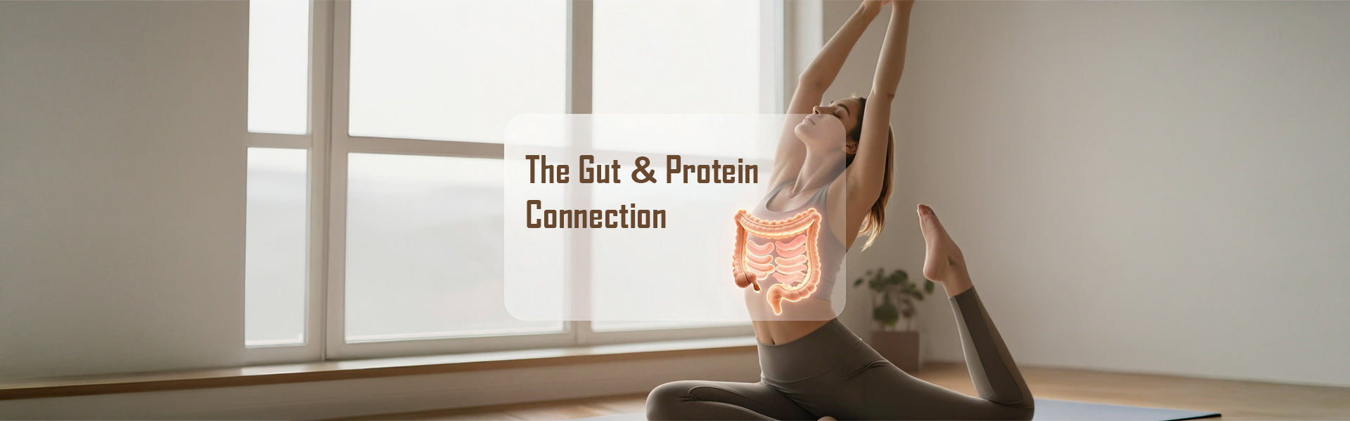 The Gut-Protein Connection: Why Digestion Quality Affects Your Gains