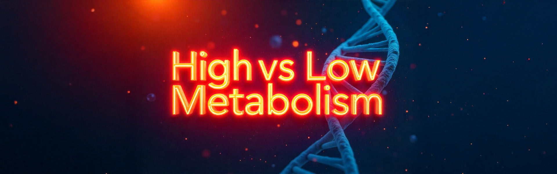 High vs low Metabolism: Never ignore these signs