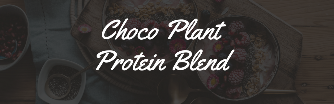 Choco Plant Protein Blend