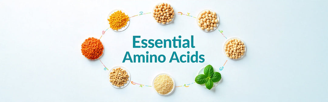 जानिए हमारे शरीर को किन आवश्यक अमीनो एसिड की जरूरत होती है - What are the essential amino acids our body needs In Hindi