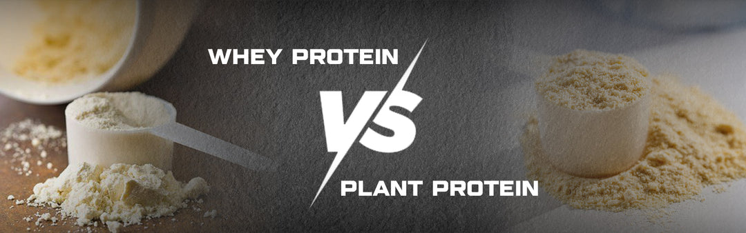 Whey Protein vs Plant Protein