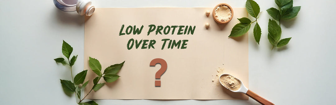 जानिए अगर आप लंबे समय तक प्रोटीन नहीं लेंगे तो क्या होगा  - What will happen if you don't take protein for long period In Hindi