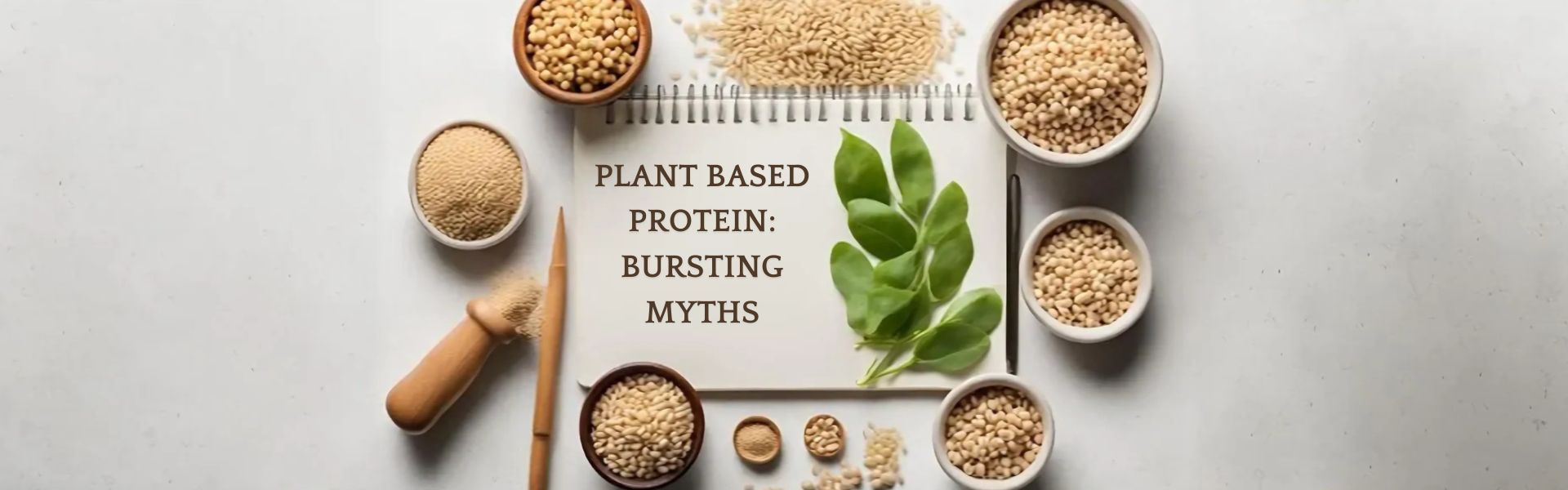 Plant-based Protein: Bursting the Myths