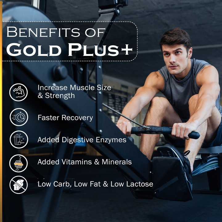 Gold Plus+ Whey Protein Concentrate